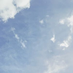 Meet your Posher, Quinn